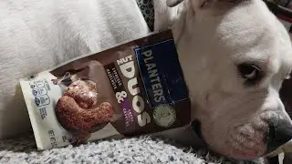 Nut Duos by Planters | Expresso Hazelnuts & Cocoa Cashews | Food / Drink Review