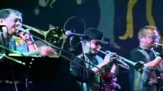 Amame Orquesta de la Luz