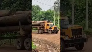 Logging Truck Kalimantan Optimus Prime !!! #kenworth #kenworthc500 #kenworthtrucks #logging