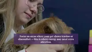 Reiki for Pets: A Gentle Guide to Energy Healing at Home
