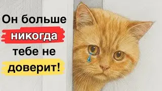 НИКОГДА не делай ЭТО со своей кошкой! 7 ошибок, о которых ты даже не подозревал…