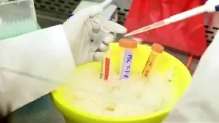 Engineering Career Exploration: Biomedical Engineering