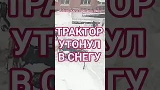 снег дороже золота #snow #newyorkcity #shorts