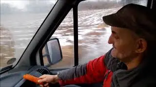 Muzyczny wyciąg z marchwi  - śmieszne