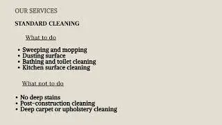Ozil Prestige Clean | Professional Cleaning Services Launching Soon