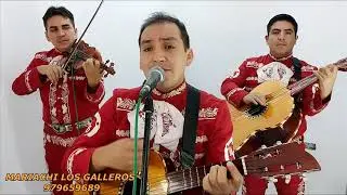 MI QUERIDO VIEJO