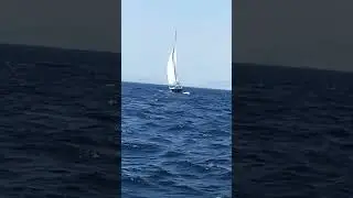 Only wind and sails! #shorts #sailing #beach #anchorage #aegeansea