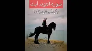 سورہ التوبہ آیت#سورہ_التوبہ#youtuobeshorts #islamicvideo #messageofislam #quranrecitation #religion