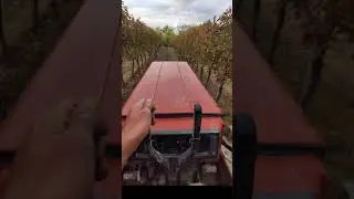 ARIEGGIATURA VIGNETO Fiatagri 55-75, arieggiatore OMA #shorts #fiatagri #cingolato #wine #vigneto