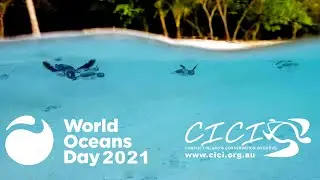 World Ocean Day 2021 & The Conflict Island Conservation Initiative