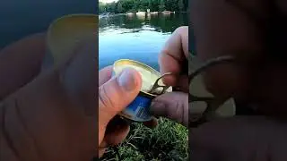 Легкий способ ловить рыбу