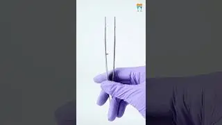 Waldent Self-Locking Tweezers (23/107) - Precision Dental Instruments for Secure Handling #shorts