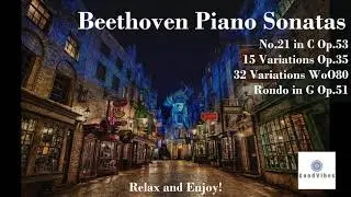 The Best Classic Piano Sonatas / Beethoven Sonata no. 21,  Variations Op35 Op53 & Rondo in G Op 513