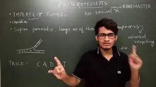 Kingdom fungi: Deuteromycetes NCERT lecture