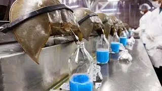 7 of the MOST EXPENSIVE LIQUIDS in the world!