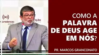 Como a Palavra de Deus age em n&oacute;s?