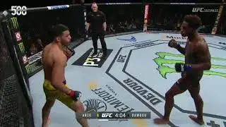 Highlights ufc 244