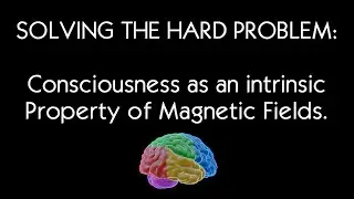 Solving the &ldquo;Hard Problem&rdquo;: Consciousness as an Intrinsic Property of Magnetic Fields.