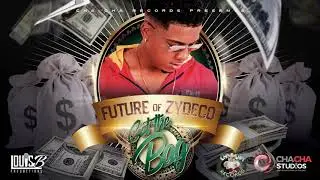 Get The Bag-Future Of Zydeco