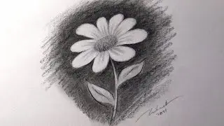 BASİT ÇİÇEK ÇİZİMİ (Karakalem çizim)