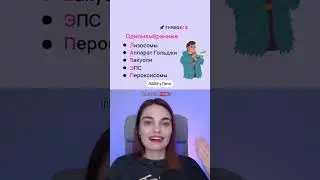 Петя ведет лавэ, чтобы кот выступал в цирке 💁💵🙀🎪