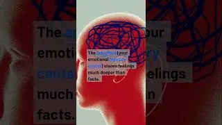 You Remember Emotions, Not Logic