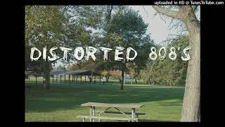FlowboyPluggz- Distorted 808s