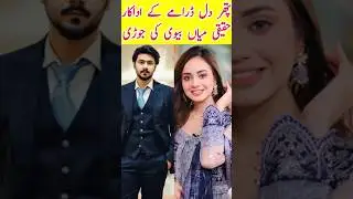 Pathar Dil Drama Cast Real Life Partners Episode 76 77 | #aliabbas