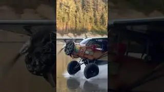 Patina Cub Playing on the Athabasca River #backcountry #bushflying