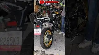 escape para la Italika DM 300 #italika #dm300#modificacionesmoto #escapedireto