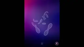 Shapes - Level 13