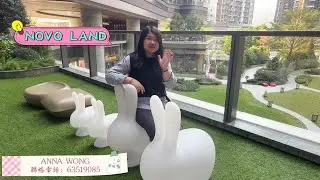 【#KOL睇真盤】 Anna Wong 筍盤推介：Novo Land Novo Land 3A期 低層 D室