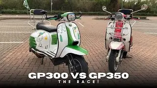 Royal Alloy GP300SE Vs GP350 Which Is The Fastest???