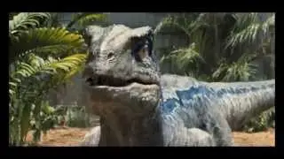 Owen & The Raptor Squad- Music video 