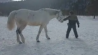 Повелительница драконов