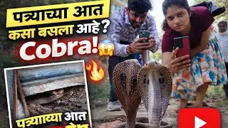 पत्र्याच्या मागे काय आहे ते पाहण्याची हिंमत आहे का? 😳 #youtube #video #every #edit #explore 