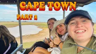 A LA CONQUETE DE LA SAVANE (PART 2)