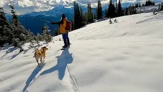 October Surprise: Snowboarding w/ my Dog | Glorious Whistler Early Season