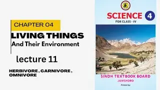 Chapter 04|Living things and their environment| Class 4 Science | Lacture 11 | STBB Jamshoro |