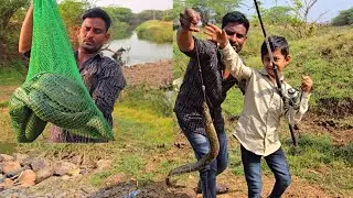 big bam fish catching eel fishing technique | fishing fish fishing videos fish in sea fishes 