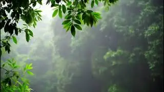 fern jungles by #luma #ray2