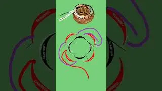 diagram motor winding connection#shorts #youtubeshorts
