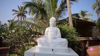 Goa, Arambol beach, Riva resort
