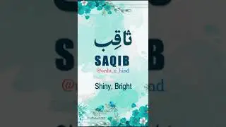 🌹Saqib🌹 | Name Meaning Status || Urdu e Hind Official |