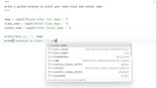 write a python program to print your name class and school name