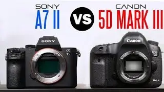 Sony A7 II vs Canon 5D Mark III | Full Frame Mirrorless vs DSLR &ndash; Detailed Comparison