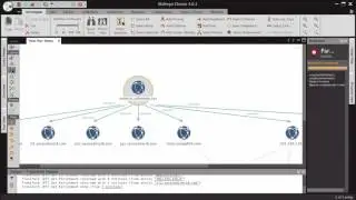 Host Pairs and Maltego with RiskIQ's PassiveTotal