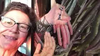 Painting Hands With Debra Keirce