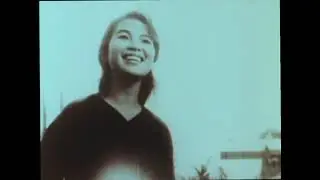 The Farewell Party - the murder of Lam Thi Hoa Mai by the Vietnamese communists in 1979.