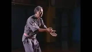 Seiunchin  kata. Sensei Tetsuhiro Hokama, Hanshi, 10 dan, Okinawan Kenshi-kai Goju-ryu Karate Kobudo